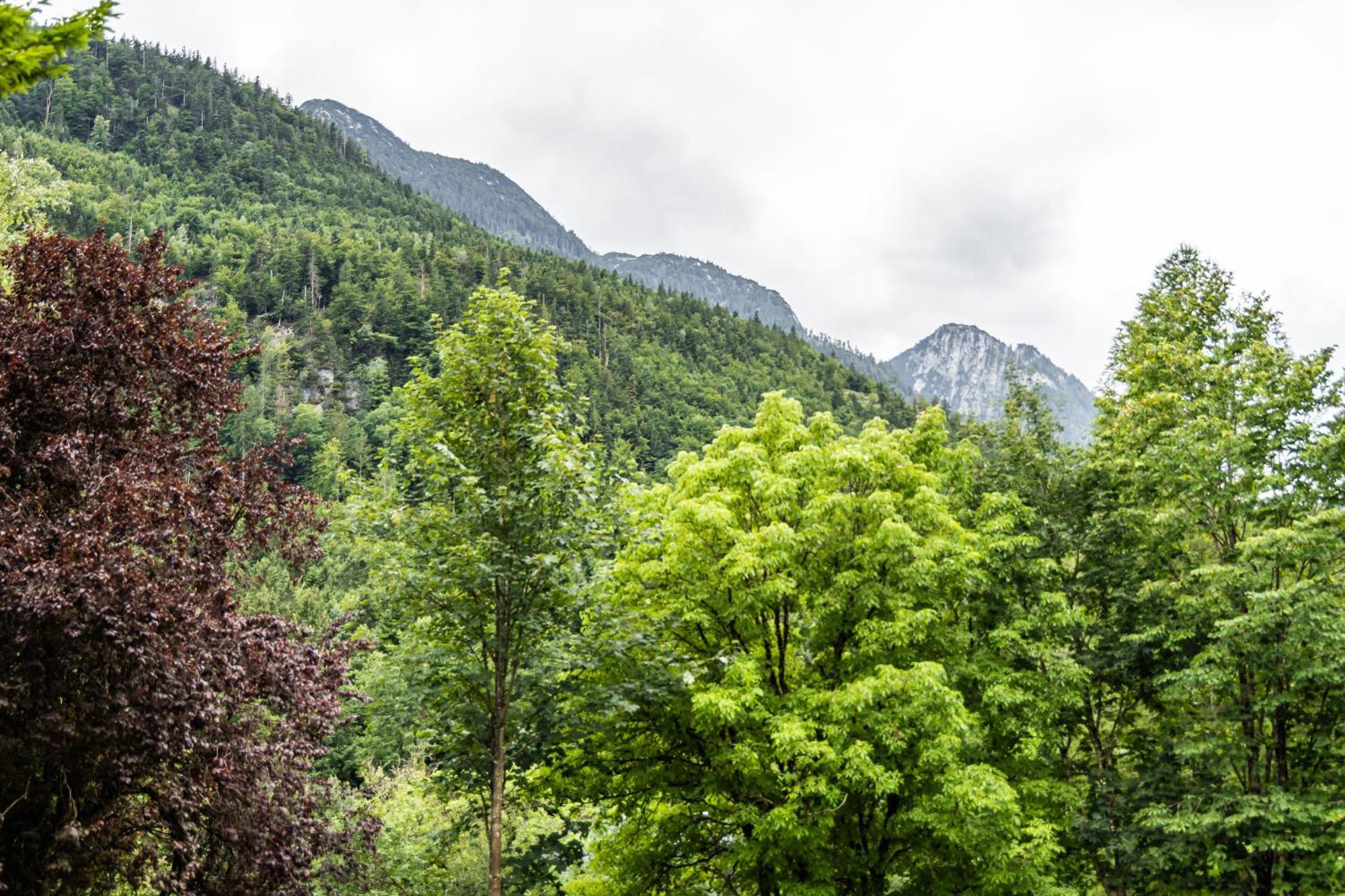 Alpin-Chalet In Alleinlage In Bad Ischl - Wald, Natur, Kamin & Sauna Dış mekan fotoğraf